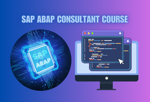 SAP ABAP Professional