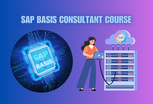 SAP BASIS Installation